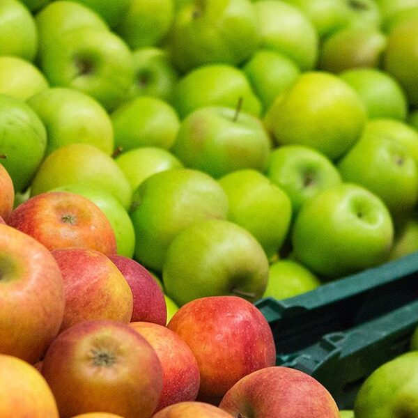 Compostable Labels: Helping Brands Advance Toward Zero-Waste Goals
