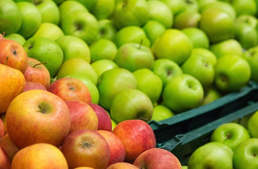 Compostable Labels: Helping Brands Advance Toward Zero-Waste Goals
