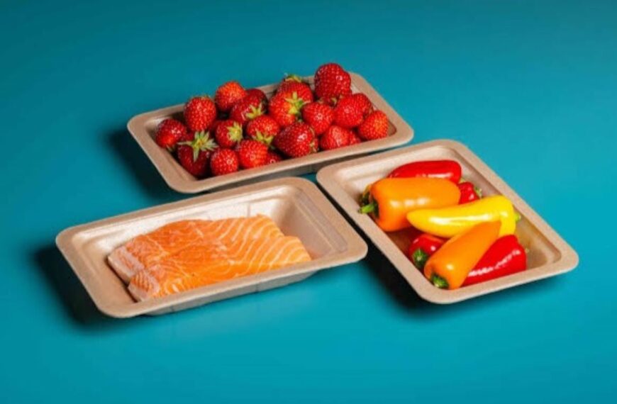TotalEnergies Corbion commercialises compostable foam alternative