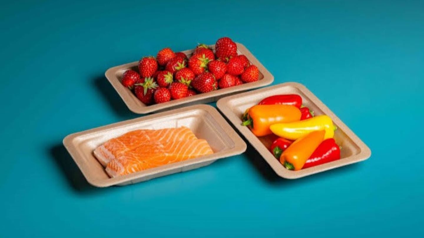 TotalEnergies Corbion commercialises compostable foam alternative