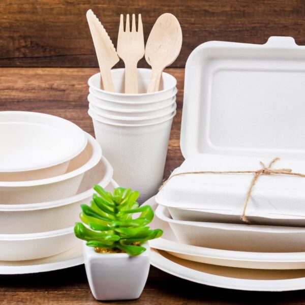 Fibre-based food packaging to lead market by 2045: Study